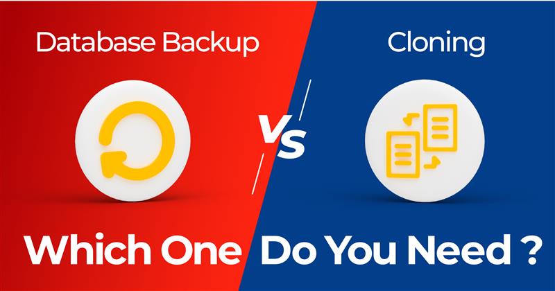 database backup vs cloning which one do your organisation need